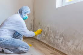 Professional Mold Removal & Remediation in Maitland, FL